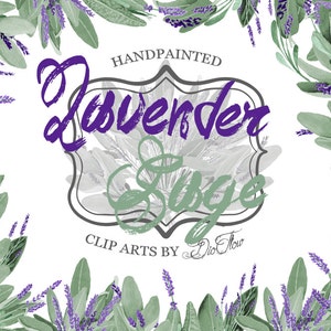 Lavender sage clipart watercolor clipart lavender clip art sage handpainted watercolor clip art flowers sage lavandula - &quot;Lavender sage&quot;