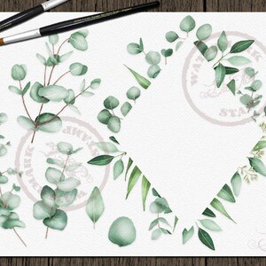 Watercolor Eucalyptus Clipart Greenery Clip Art Eucalyptus Greenery Baby Silver Dollar Leaf Green Leaves Illustration Vector Invitation Art image 2