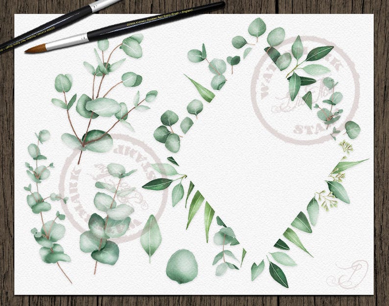 Watercolor Eucalyptus Clipart Greenery Clip Art Eucalyptus Greenery Baby Silver Dollar Leaf Green Leaves Illustration Vector Invitation Art image 2