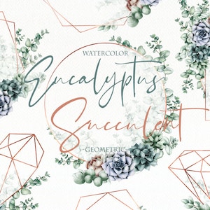 Aquarell Eukalyptus Sukkulenten Geometrischer Rahmen Kupfer Polygonal Clipart Rahmen Greenery Clip Art Eukalyptus Greenery Illustration Einladung