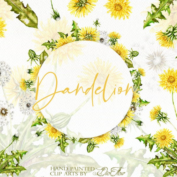 Dandelion Clipart Watercolor Dandelion Flowers Yellow Flowers Clip Art Illustration Decoration Watercolor Wedding Invitation Illustration