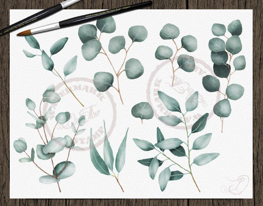 Watercolor Eucalyptus Clipart Greenery Clip Art Eucalyptus - Etsy Denmark