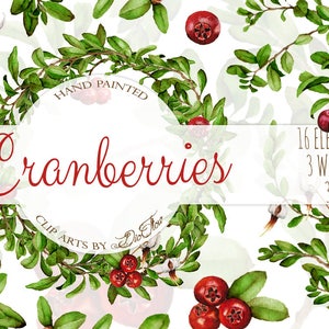Clipart aquarelle canneberge canneberges clipart branches vignes baies des bois cadres couronne illustration vecteur vert faire-part de mariage