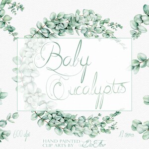 Eucalyptus Clipart Baby Blue Spiral Greenery Clip Art Watercolor ...