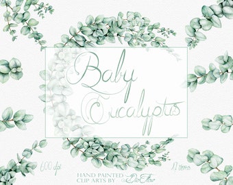 Eukalyptus Clipart Baby blaue Spirale grün Clip Art Aquarell Hochzeit Einladung Illustration Cliparts Blätter australischen Baby Eukalyptus