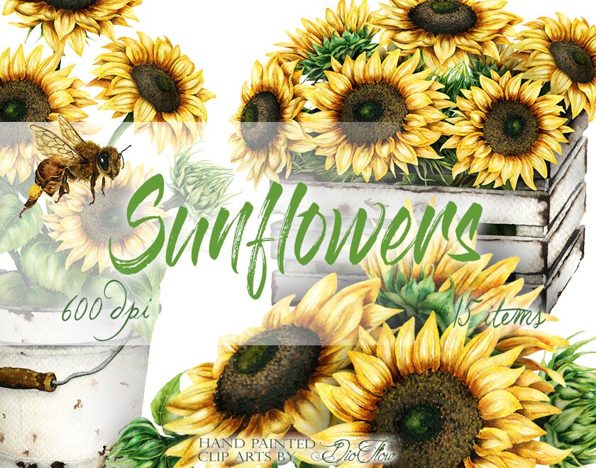 Watercolor Sunflower Clipart Clip Art Summer Sun Flower Wedding ...