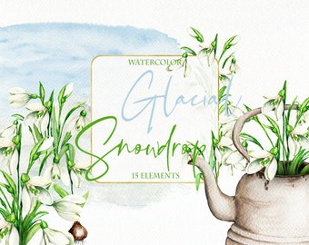 Watercolor Snowdrops Spring White Snowdrop Flowers Clipart Clip Art Rustic Teapot Spring Wedding Invitation Illustration Vector Snow Flower