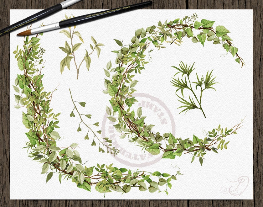 Watercolor Greenery Clipart Leaves Branches Vines Woodland Clip Art ...