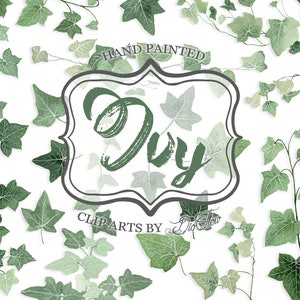 Clipart aquarelle de verdure Lierre vignes feuille feuilles des bois feuillage illustration de faire-part de mariage forêt verte peinte à la main - « lierre »