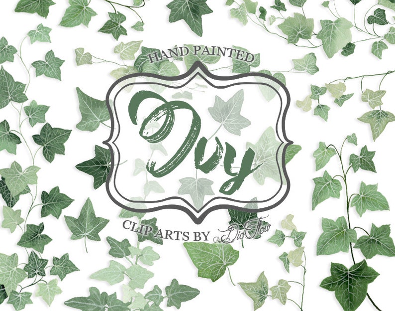 Greenery Ivy Clipart Watercolor Clip Art Vines Leaf Woodland Leaves Foliage Handpainted Green Forest Wedding Invitation Illustration Ivy