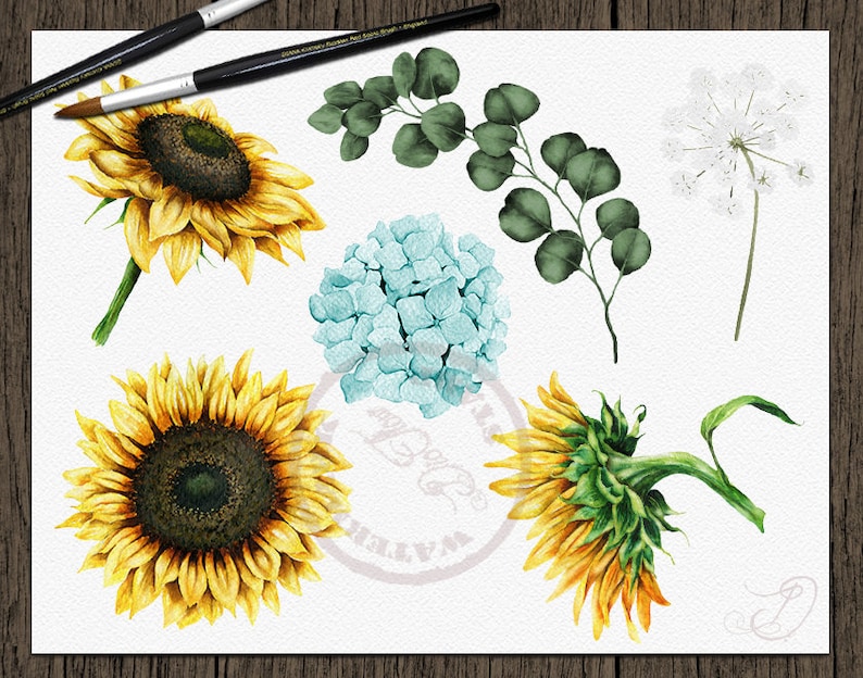 Download Watercolor Sunflower Hydrangea Eucalyptus Clipart Yellow ...