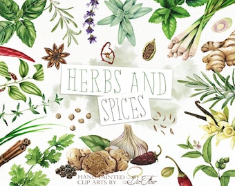 Watercolor Herbs Spices Clipart Clip Art Condiment Herb Spice Illustration Decor Kitchen Wall Home Decoration Italian Food Cooking Culinary