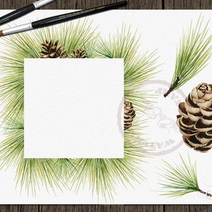 Watercolor Pine Clipart Winter Clip Art Christmas Branches Winter Pines Wedding Invitation Greenery White Xmas Leaves Evergreen Pine Cones image 3