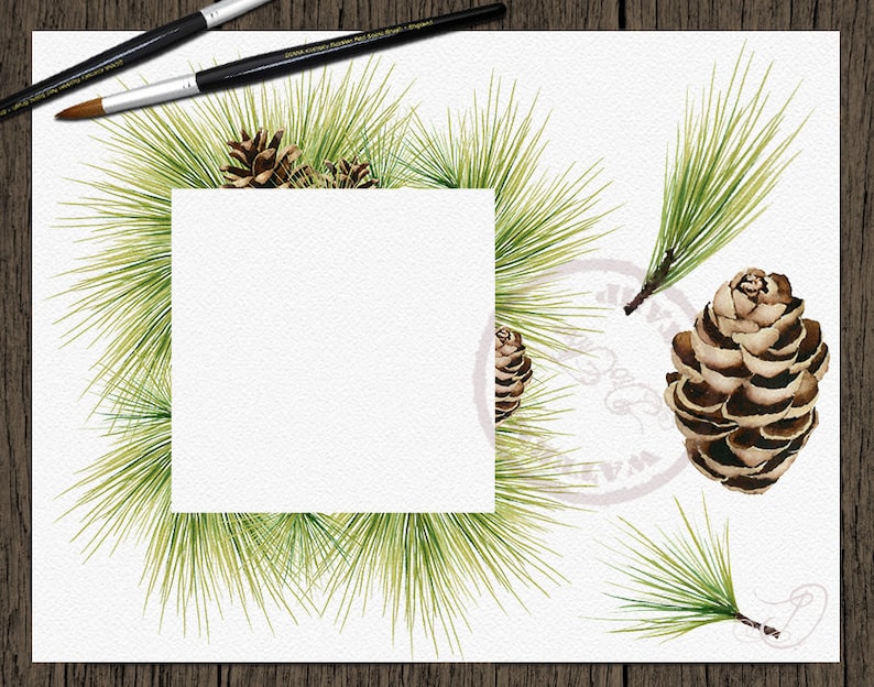Watercolor Pine Clipart Winter Clip Art Christmas Branches Winter Pines Wedding Invitation Greenery White Xmas Leaves Evergreen Pine Cones image 3