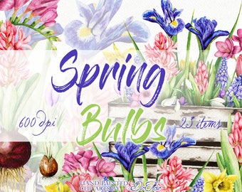 Watercolor Spring Bulbs Bulbous Flowers Clipart Bulby Clip Art Tulip Daffodil Hyacinth Iris Spring Wedding Invitation Illustration Flower
