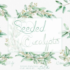 Eucalyptus Greenery Aquarela Clipart Semeado Eucalipto Clip Art Aqua Verde Eucalipto Folhas Ilustração Convite De Casamento Design Art