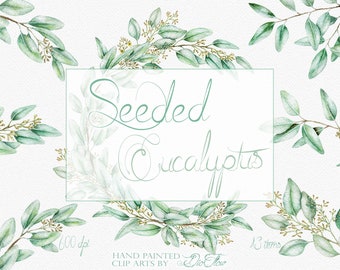 Eucalyptus Greenery Watercolor Clipart Seeded Eucalyptus Clip Art Aqua Green Eucalyptus Leaves Illustration Wedding Invitation Design Art