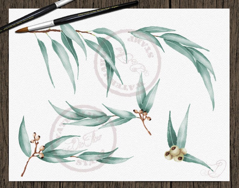 Watercolor Eucalyptus Clipart Greenery Clip Art Eucalyptus Greenery ...