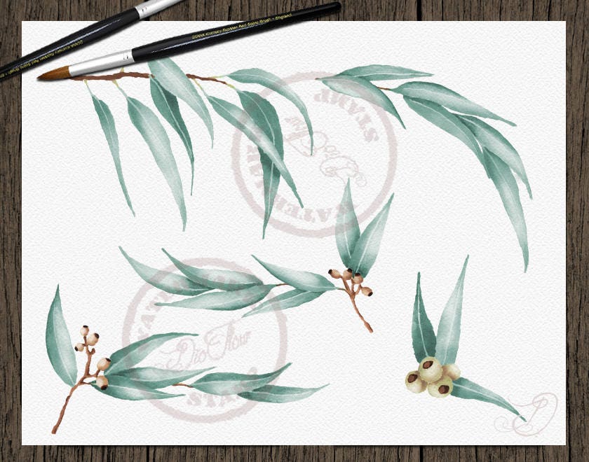 Watercolor Eucalyptus Clipart Greenery Clip Art Eucalyptus - Etsy Denmark