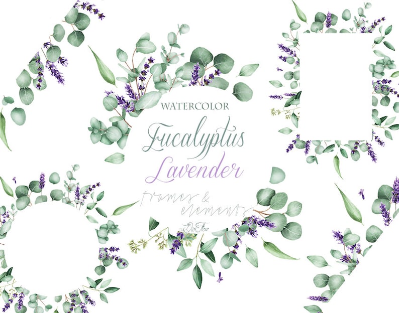 Watercolor Eucalyptus Lavender Clipart Frames Greenery Clip Image 0