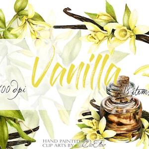 Aquarel vanille clipart vanille clipart bonen bloemen tropische bruiloft uitnodiging illustratie vector gele crème bloem decoratie kunst