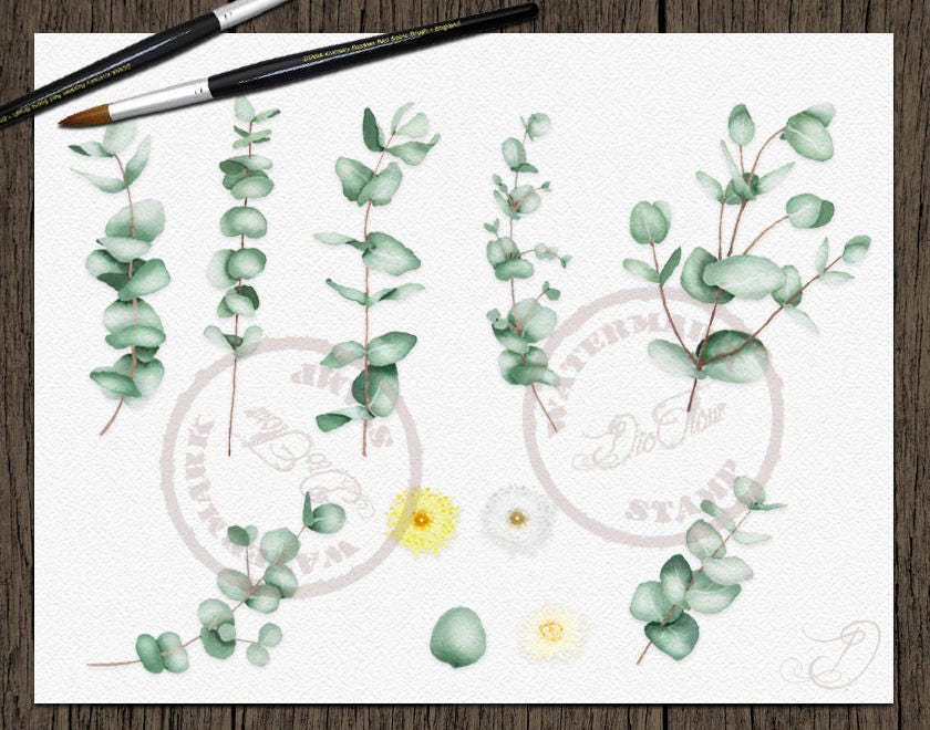 Eucalyptus Clipart Baby Blue Spiral Greenery Clip Art Watercolor ...