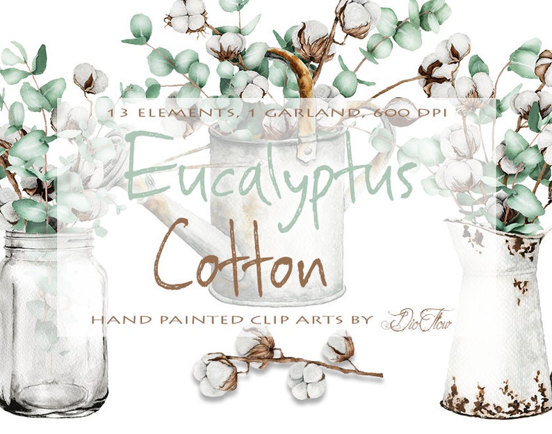Watercolor Eucalyptus Cotton Clipart Pitcher Watering Can