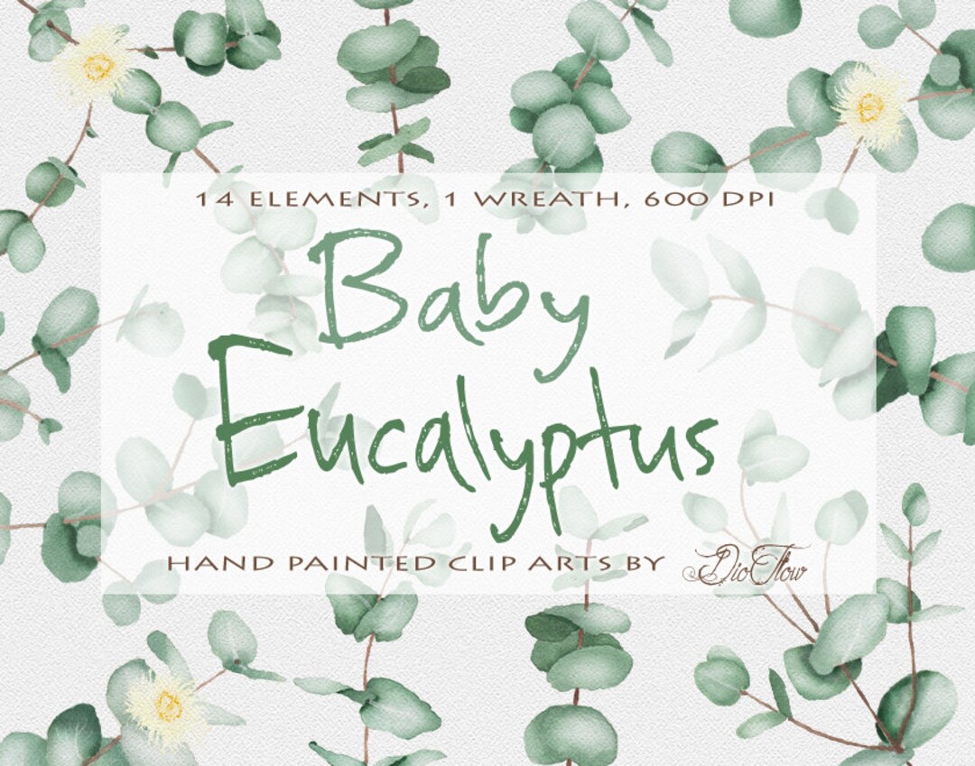 Eucalyptus Clipart Baby Blue Spiral Greenery Clip Art Watercolor ...