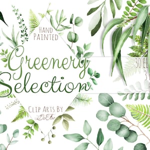 Aquarela Greenery Clipart Folha Clipart Eucalyptus Woodland Clip Art Frame Grinalda Clipart Floresta Folhas Samambaia Ilustração Verdura Vector
