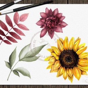 May include: Watercolor illustrations of a sunflower, a burgundy flower, and two types of leaves. The sunflower is yellow with a brown center. The burgundy flower has multiple petals. One type of leaf is burgundy and the other is green.