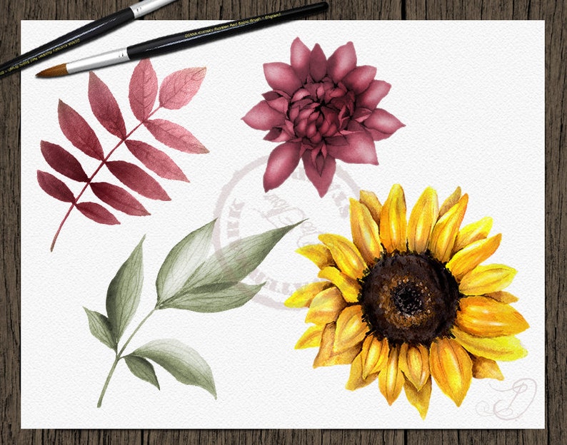 May include: Watercolor illustrations of a sunflower, a burgundy flower, and two types of leaves. The sunflower is yellow with a brown center. The burgundy flower has multiple petals. One type of leaf is burgundy and the other is green.