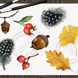 May include: Watercolor illustration of autumnal elements, including acorns, leaves, berries, and feathers. The leaves are in shades of yellow and orange, the berries are red, and the feathers are black and white with white dots.