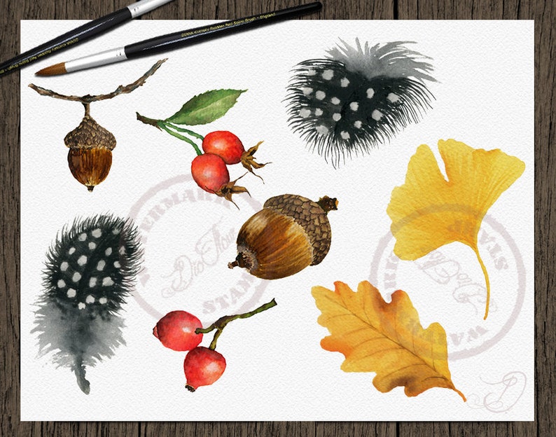 May include: Watercolor illustration of autumnal elements, including acorns, leaves, berries, and feathers. The leaves are in shades of yellow and orange, the berries are red, and the feathers are black and white with white dots.