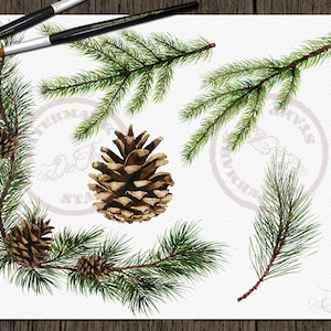 Watercolor Pine Clipart Winter Clip Art Christmas Branches Winter Pines Wedding Invitation Greenery White Xmas Leaves Evergreen Pine Cones image 5