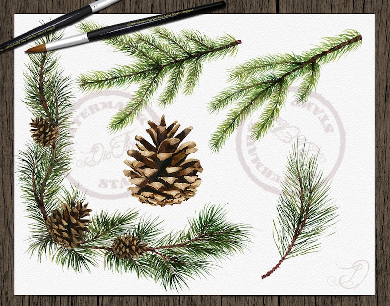 Watercolor Pine Clipart Winter Clip Art Christmas Branches Winter Pines Wedding Invitation Greenery White Xmas Leaves Evergreen Pine Cones image 5