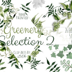 Groen clipart bladeren blad wijnstokken varen aquarel clip art gebladerte klimop hop groen bos bos bruiloft uitnodiging illustratie frames