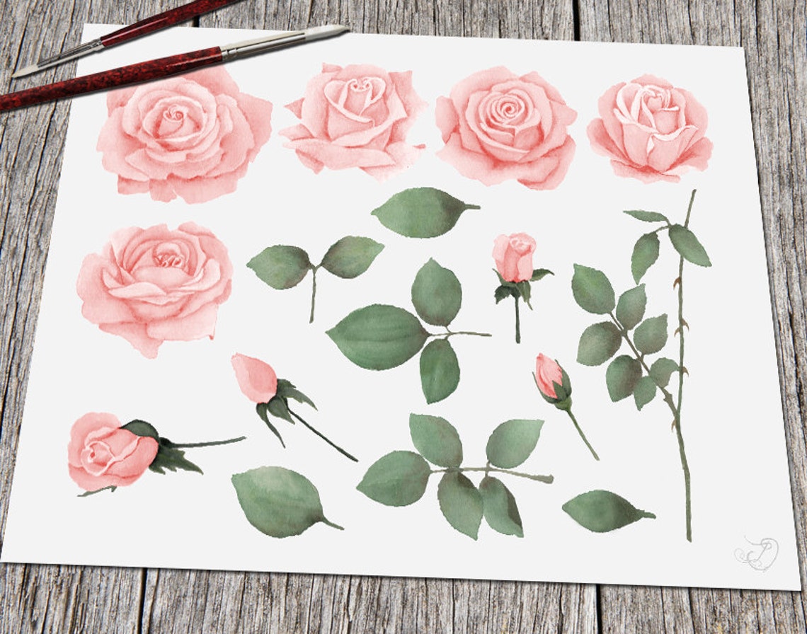 Pink Rose Clipart Rose Clip Art Antique Roses Victorian - Etsy