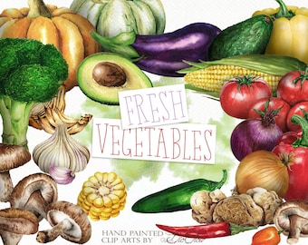 Watercolor Vegetables Clipart Vegetable Clip Art Tomato Avocado Pepper Illustration Decor Kitchen Wall Art Home Decoration Onion Broccoli