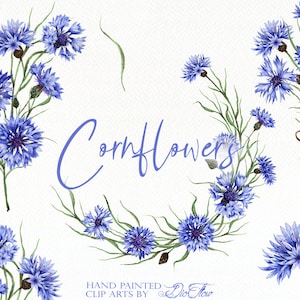 Aquarel korenbloem bloemen clipart blauwe maïs bloem illustraties zomerhuisje bruiloft uitnodiging illustratie boerderij bloem rustiek