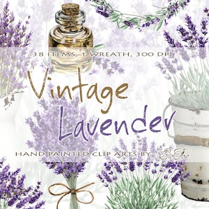 Acquerello Lavanda Clipart Vintage Lavandula Clip Art Fiore Viola Rustico Invito a nozze Illustrazione Ghirlanda Brocca Secchio Olio Essiccato