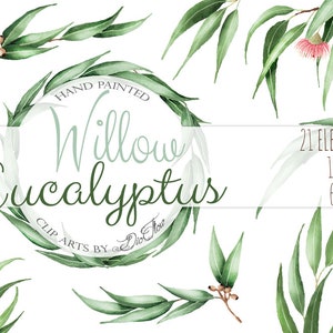Eucalyptus verdure clipart graines de saule clip art verdure vecteur aquarelle gomme noix feuilles mariage illustration - « Willow Eucalyptus »