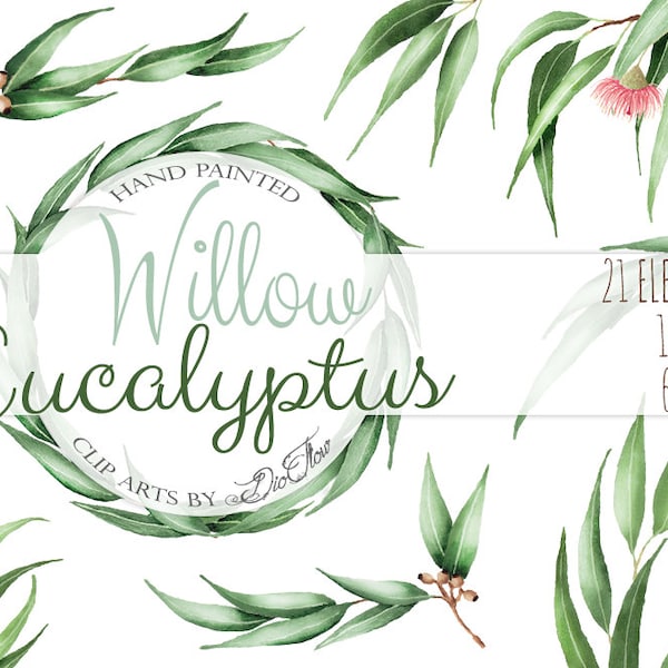 Eucalyptus greenery clipart willow seeded clip art greenery vector watercolor gum nuts leaves wedding illustration - "Willow Eucalyptus"