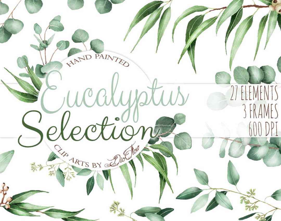 Watercolor Eucalyptus Clipart Greenery Clip Art Eucalyptus Greenery ...