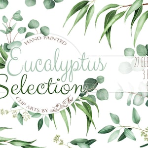 Watercolor Eucalyptus Clipart Greenery Clip Art Eucalyptus Greenery Baby Silver Dollar Leaf Green Leaves Illustration Vector Invitation Art image 1