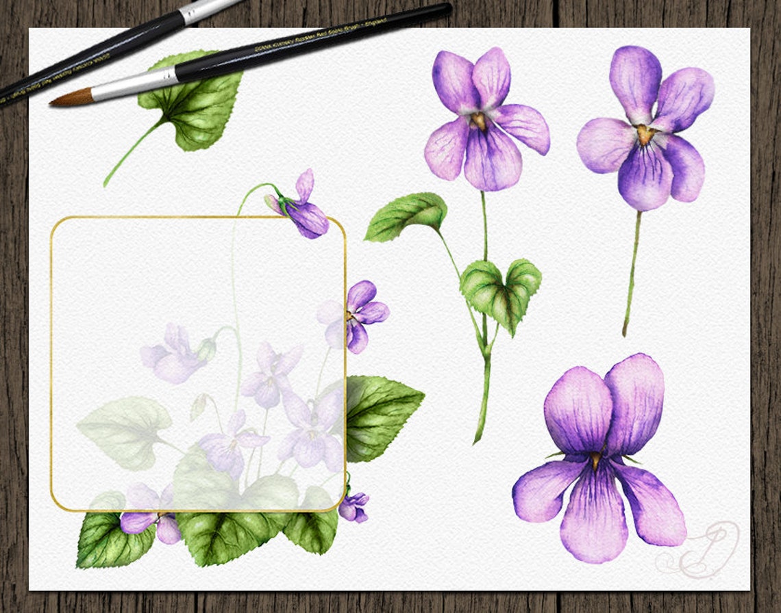 Watercolor Violet Spring Purple Viola Flowers Clipart Clip Art Rustic ...
