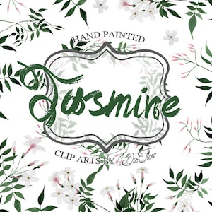 Jasmine Clipart Jasminum Greenery White Green Watercolor Flowers Clip Art Wreath Leaf Greenery Leaves Handpainted Clipart Wedding- &quot;Jasmine&quot;