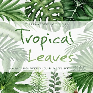 Acquerello Foglie Tropicali Clipart Foglia Di Palma Verde Clip Art Illustrazione Vettore Invito Di Nozze Carta Decorazione Foglie Verdi Spiaggia