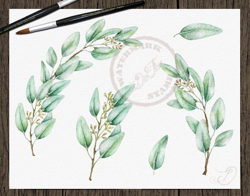 Eucalyptus Greenery Watercolor Clipart Seeded Eucalyptus Clip Art Aqua ...
