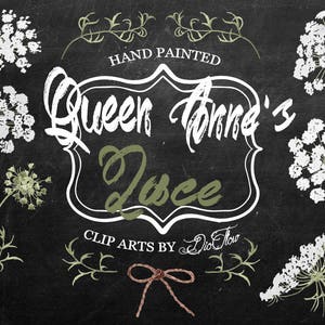 Queen Anne's Lace Bärenklau Clipart Annes Clip Art Aquarell weiße Blume Daucus wilde Karotte handbemalt rustikale Blumen Cottage Rustikal