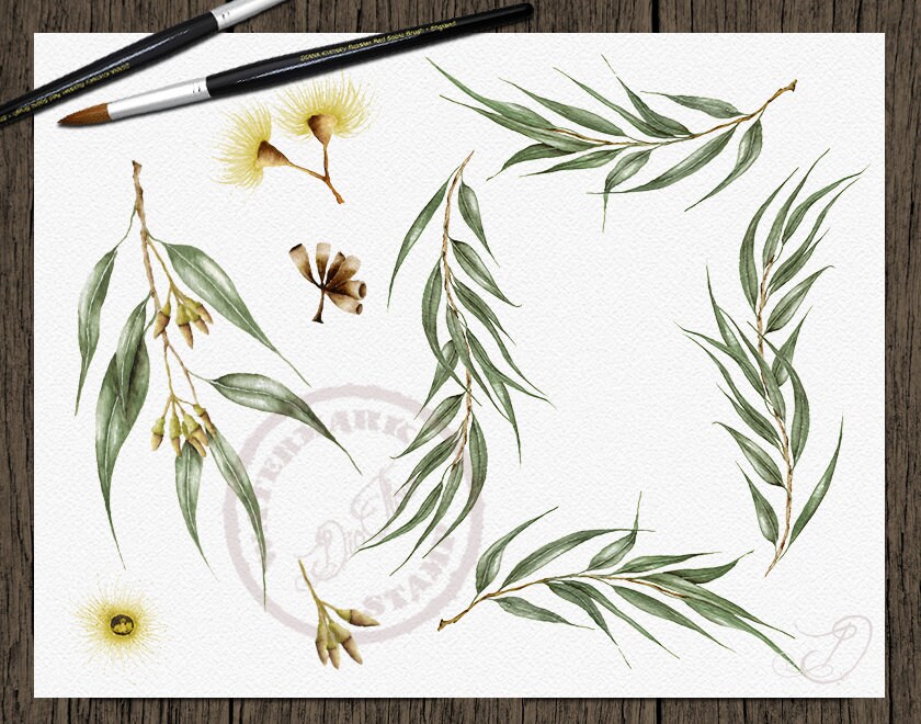 Watercolor Eucalyptus Greenery Clipart Willow Seeded Eucalyptus Clip ...